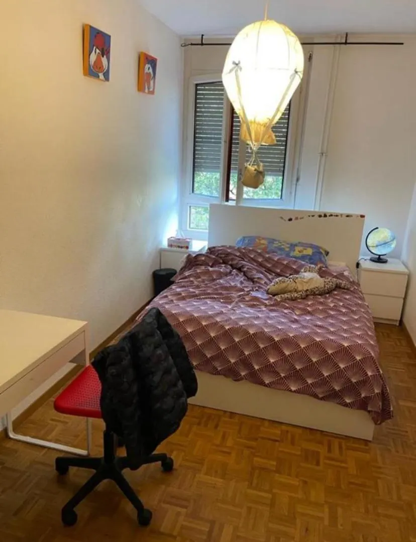 Apartment Appartement Geneve Champel